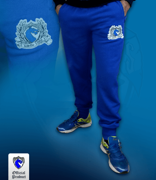Loja Oficial Super Dragões - Calça de Malha